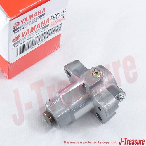 Assy tenditore catena - , camme